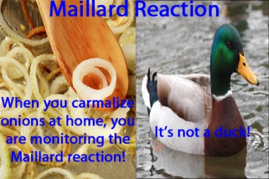 Maillard-reaction-graphic-062912